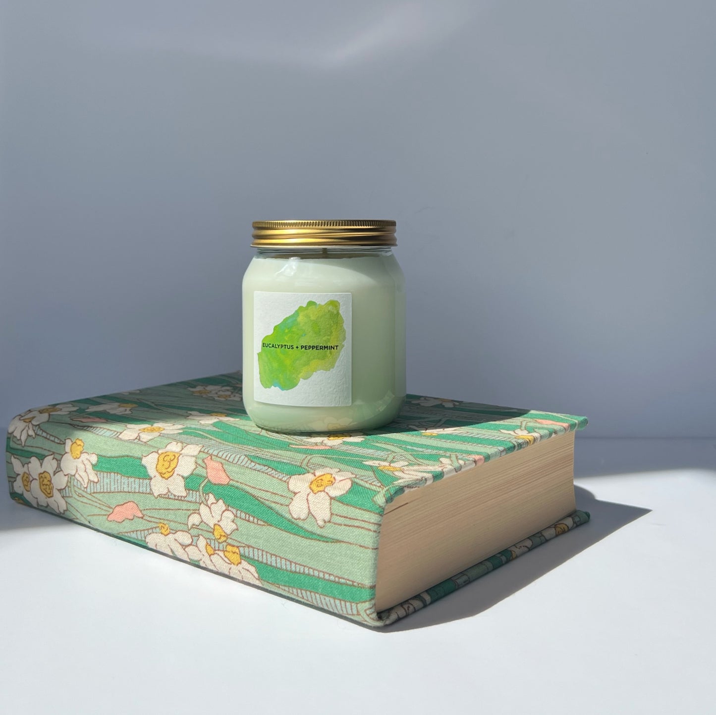 Eucalyptus + Peppermint aromatherapy candle - Plum & Belle
