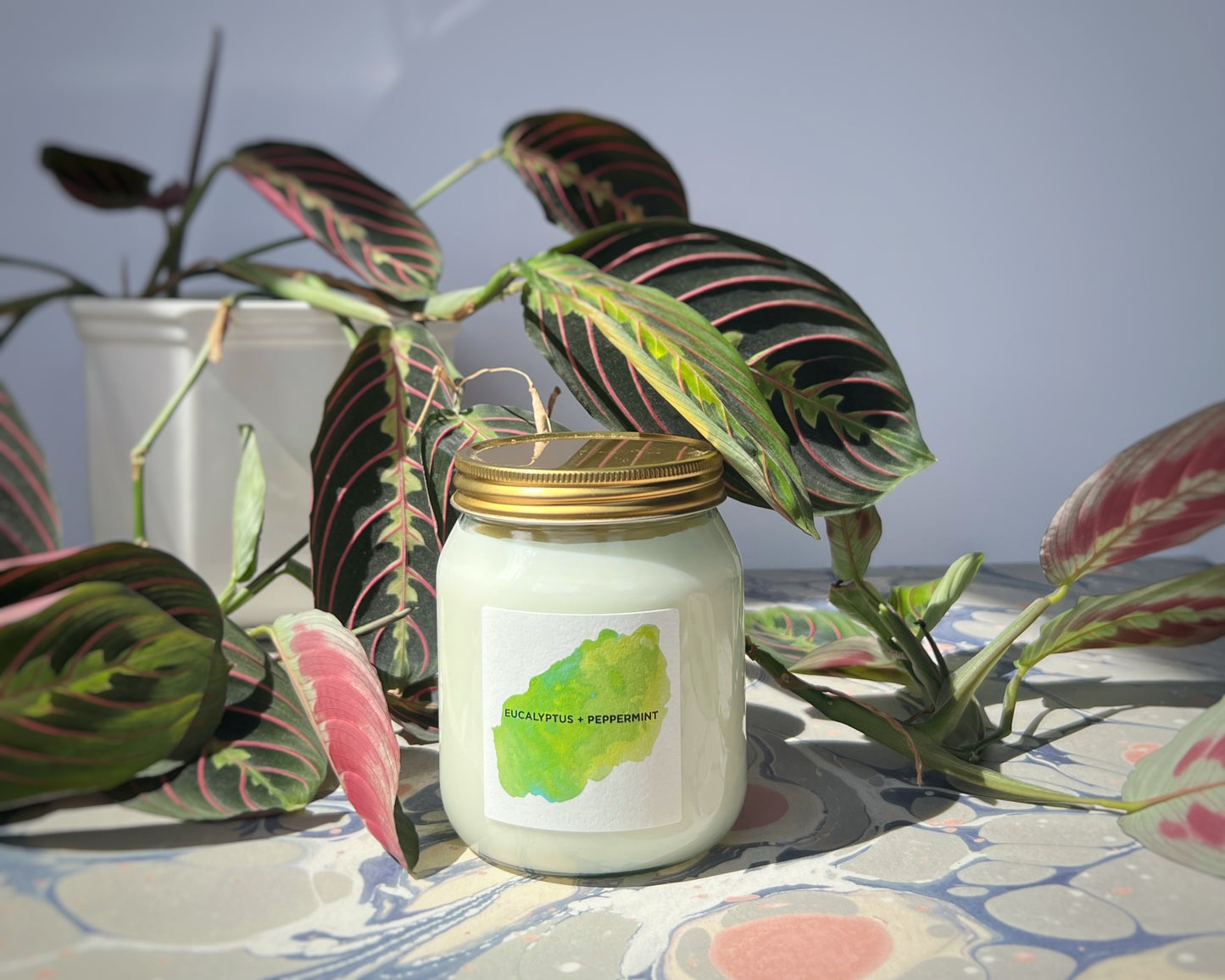 Eucalyptus + Peppermint aromatherapy candle - Plum & Belle