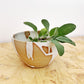 Stoneware herb stripping bowl