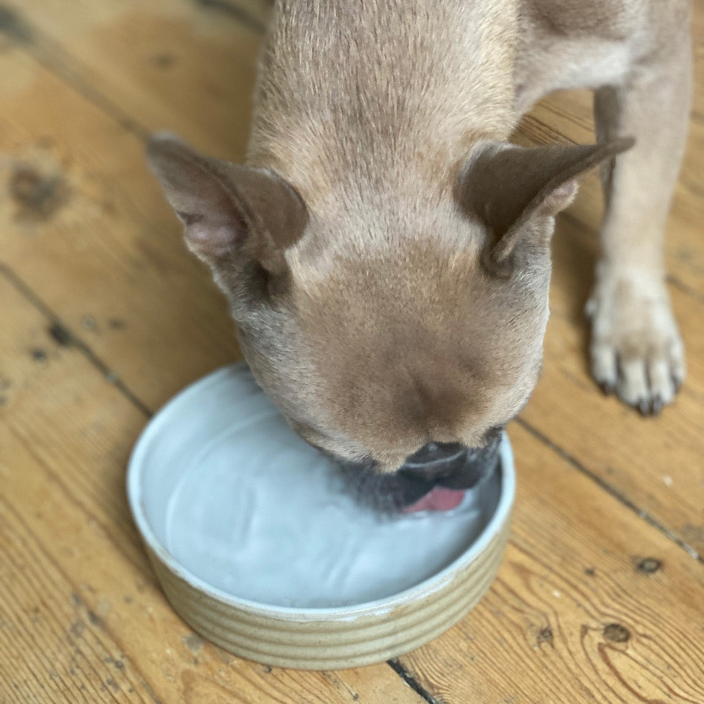 Pet bowls made to order - Plum & Belle